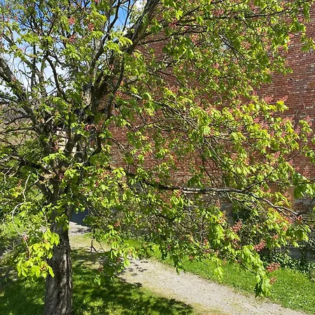 Haus Apfelwiese Διαμέρισμα Φριντρισχάφεν